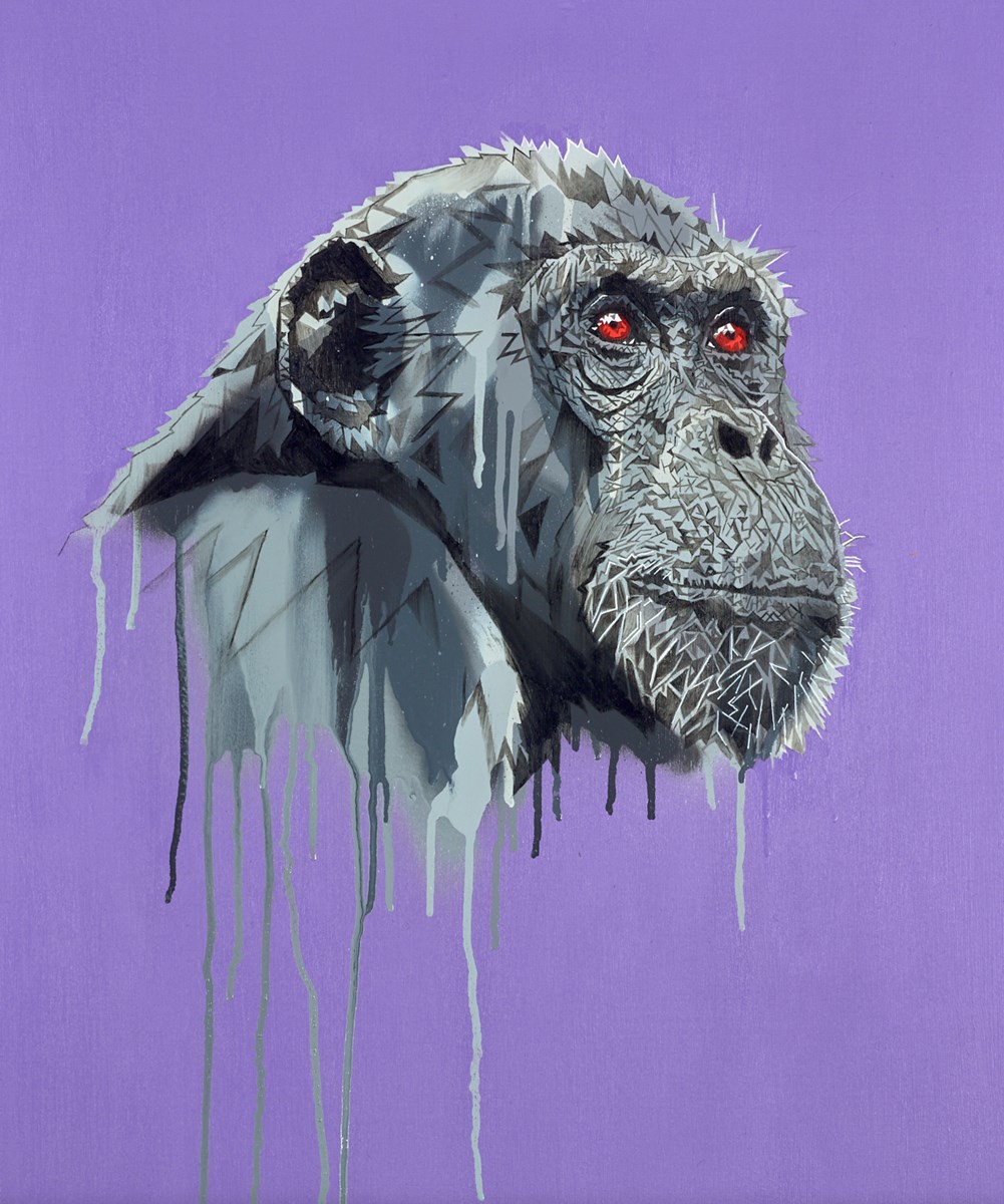 Chimp Head Study on Brilliant Purple